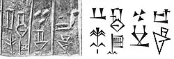 "The ships of Dilmun, from the foreign lands, brought him (Ur-Nanshe) wood as a tribute (?)" (𒈣𒆳𒋫𒄘𒄑𒈬-𒅅, ma2 dilmun kur-ta gu2 giš mu-gal2). Door socket of Ur-Nanshe.[18][19]