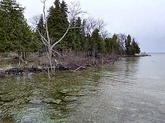 Another view of the Green Bay National Wildlife portion