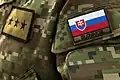 Flag of Slovakia in army uniform