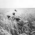 Slovak soldiers in rye around Lypovets, Ukrainian SSR, Soviet Union