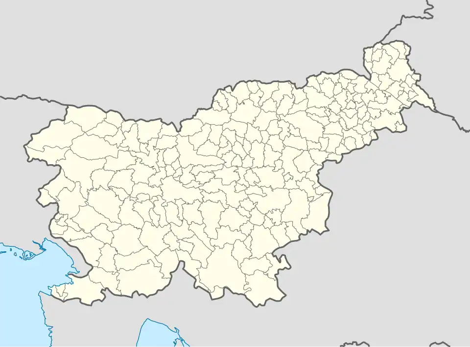 Celje is located in Slovenia