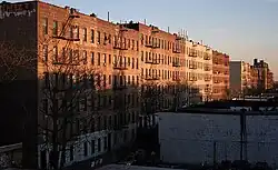 Photograph of tenement buildings in the Bronx