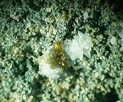 Sphalerite-Chalcopyrite-Quartz--Camp Bird Mine, Ouray