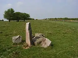 Standing stone and gallop, Overton Down