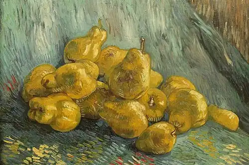 Still-life of quinces Vincent van Gogh, 1887
