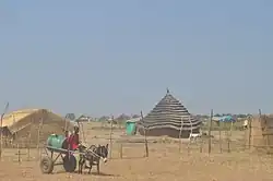 View of Abyei town, with traditional dwellings (2009)