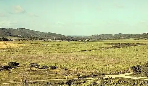 Sugarcane field in Yabucoa in 1941