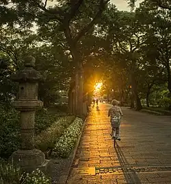 A bicycle rides along a tree-lined path at Sumiyoshi Park