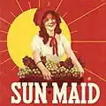 The trademark is updated for the second time. The sun was moved off-center, intensifying the effect of the sunshine with the bonnet casting a shadow across the Sun-Maid Girl’s face.