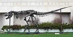 Big Mike/Devil Rex/Wankel Rex