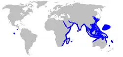 World map with blue coloring around the periphery of the Indian Ocean, from South Africa to the Arabian Peninsula to Southeast Asia as far as Japan and Australia, as well as in a region of Micronesia and around the Galapagos and Cocos Islands in the eastern Pacific