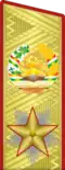 Генерали артиш Generali artiş (Tajik Ground Forces)[23]