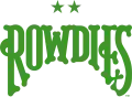 Rowdies logo used since 2013