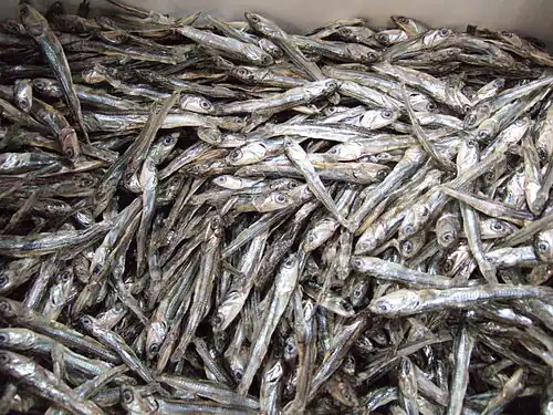 Dried Japanese anchovy