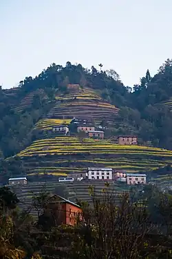 Terrace farming and houses at Bhardev, Lalitpur