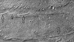 Dikes from when magma rises to near the surface in cracks in rocks. Later erosion may have exposed them