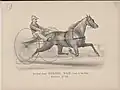 The great pacer Sorrel Dan, driven by Dan Mace, c. 1880