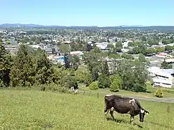 Tokoroa from Colson Hill (2007)