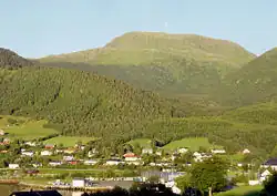 View of Torvikbukt
