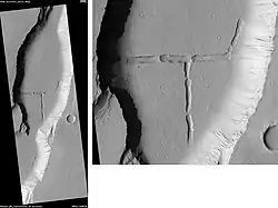 Tractus Catena Floor, as seen by HiRISE. Scale bar is 500 m (1,600 ft) long.