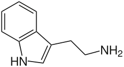 Tryptamine