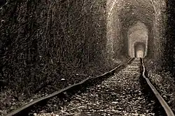 View of the tunnel (3)