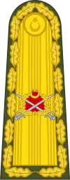 Mareşal (Turkey) (Military ranks of Turkey)