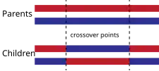 TwoPointCrossover.svg