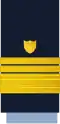 Vice admiral (United States Coast Guard)[63]