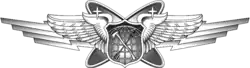 Multi-Domain Warfare Officer Badge[6]