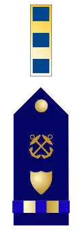 U.S. Coast Guard chief warrant officer 2 rank Insignia