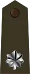 United States Army (Lieutenant Colonel)