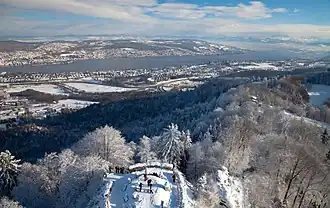 View from the top of the observation tower at Uetliberg.