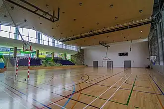 Indoor playing court