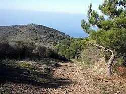View of Mount Licosa trail to the coastal tower Semaforo