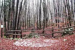 The Big Brezar Shaft Mass Grave