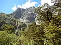South aspect, from Mintaro Hut on the Milford Track