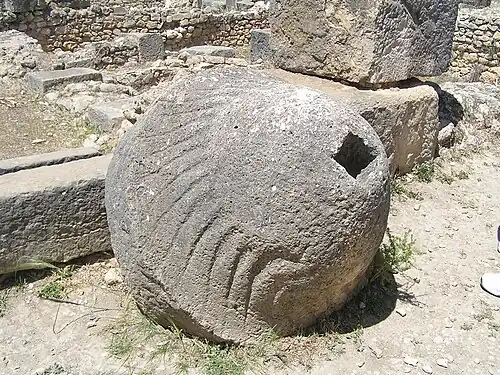 Giant olive wheel - Volubilis