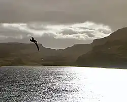 Port-Couvreux; panorama of the bay
