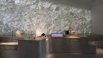 Life in the Wadden Sea