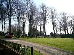 Walton Village Green