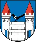Coat of arms of Elsterberg