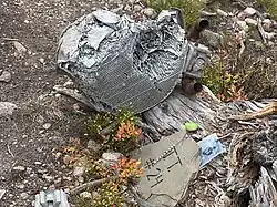 Scattered pieces of torn and bent airplane wreckage lie on the forest floor. Among the wreckage is a blue and white soccer ball. The area is surrounded by dirt, rocks, small plants, and fallen logs.