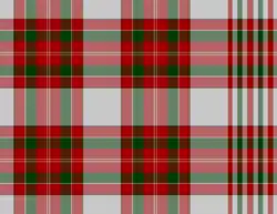 Wilsons 1819 blanket tartan with a selvedge pattern on the right