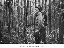 Woodcock on the Trap Line