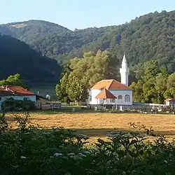 Mosque of Sijarina, built around 1880's