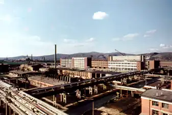 Borzești Chemical Plant and Borzești Power Station