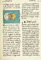 Maya blue used in the Florentine Codex fol. 227v